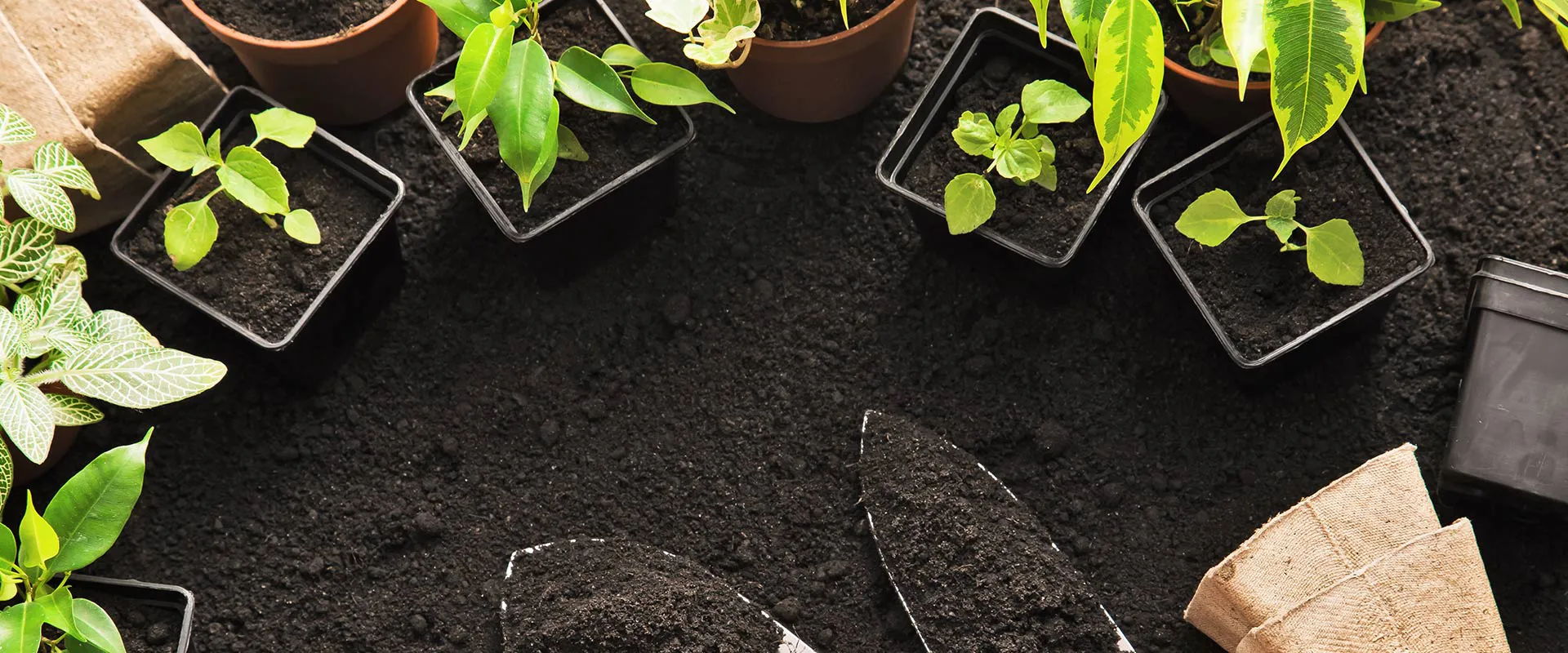 İstanbul Bahçe Bakımı ve Otomatik Sulama Sistemleri